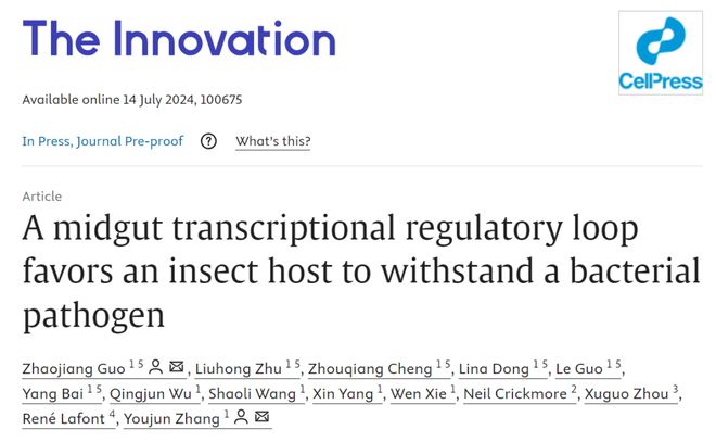 The Innovation | 张友军团队揭示昆虫与病原菌共进化的“输攻墨守”机制