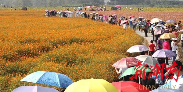 致富养殖蜈蚣视频_养殖蜈蚣的成本和利润视频_致富经养殖蜈蚣