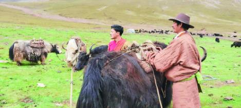 致富养殖好项目大全_农村致富养殖种植_养殖致富项目大全