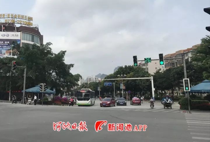 广西养殖业什么最赚钱农村_广西养殖大户_广西大姐养殖致富项目