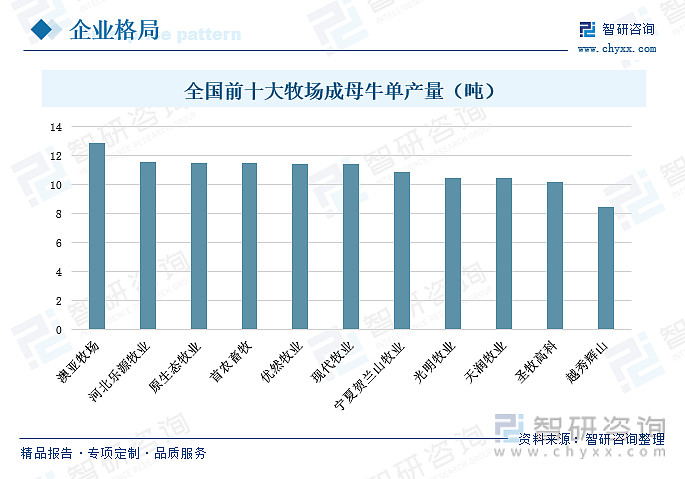 马蜂养殖技术及成本_养殖成本马蜂技术要求_养殖马蜂技术视频