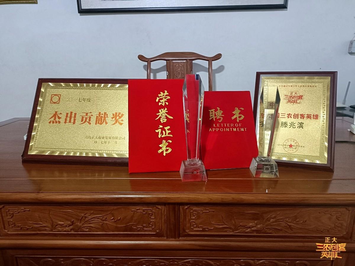 养殖扇贝的上市公司_扇贝养殖利润_扇贝养殖致富案例