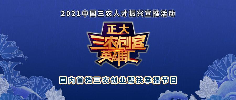 养殖扇贝的上市公司_扇贝养殖利润_扇贝养殖致富案例