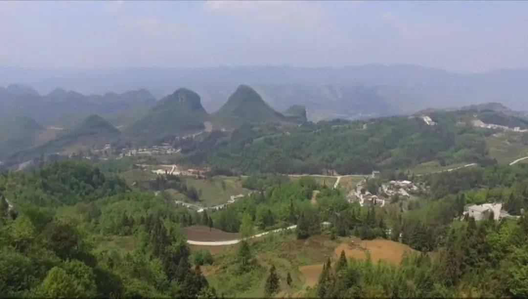 致富经蛋鸡养殖视频_生态养殖蛋鸡的未来市场前景_生态蛋鸡养殖致富