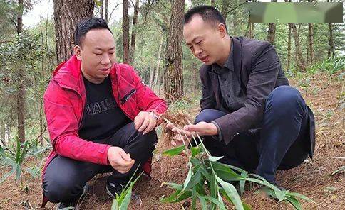 致富经蛋鸡养殖视频_生态养殖蛋鸡的未来市场前景_生态蛋鸡养殖致富