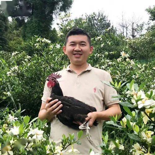 浙江蓝莓基地_致富经浙江蓝莓_致富经蓝莓种植成亿万