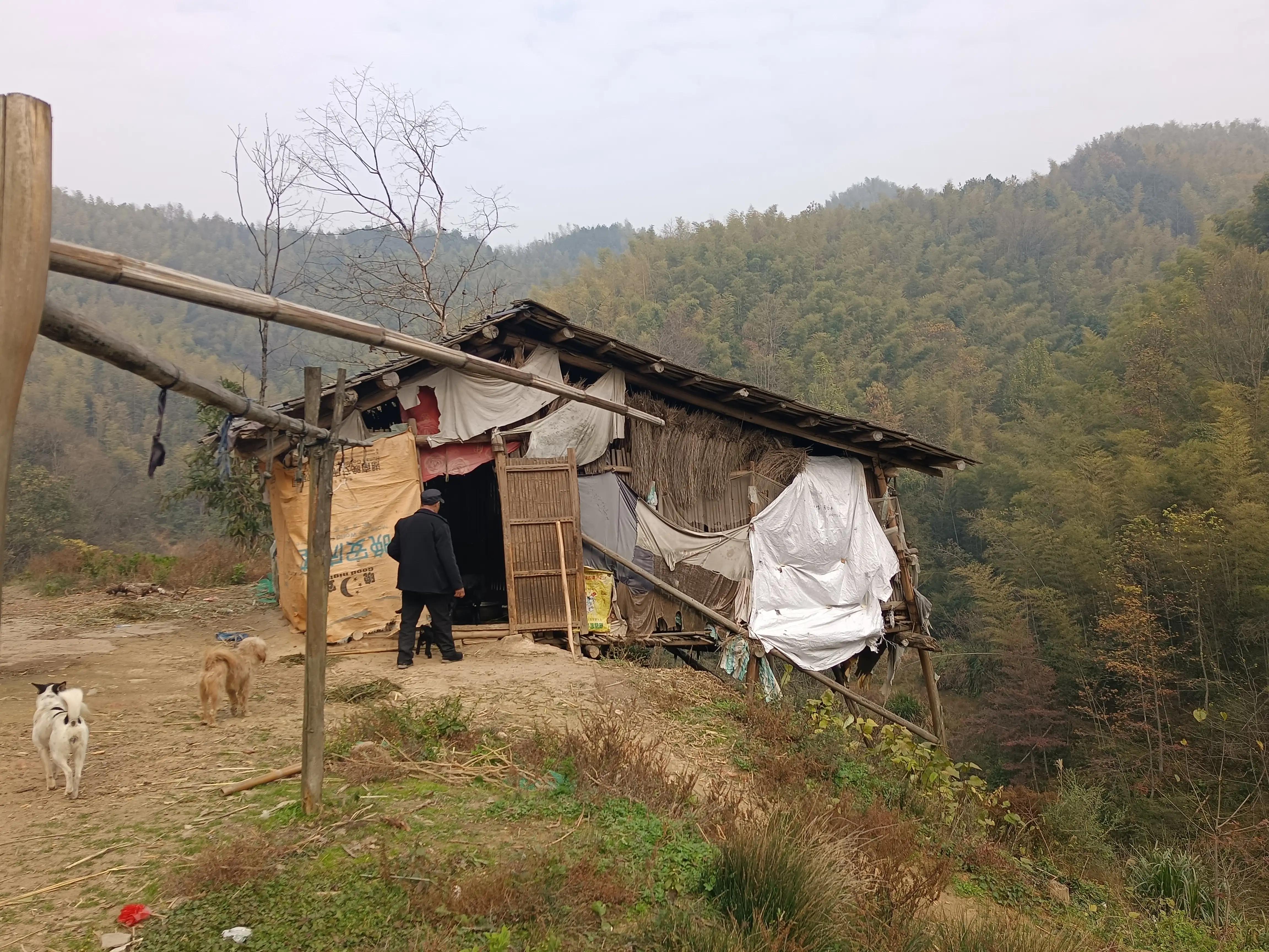 山区养殖业_山区养殖业什么最赚钱农村_山区养殖致富项目