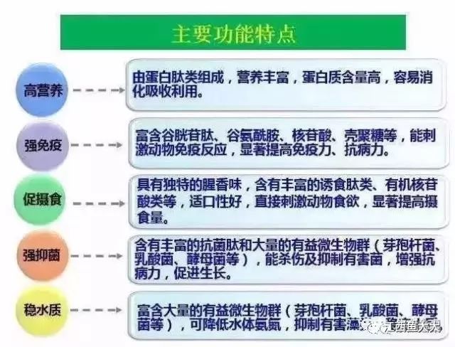 善鱼养殖_膳鱼养殖技术_养膳鱼视频