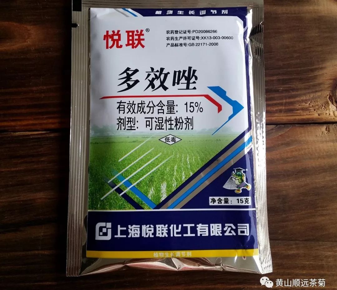 菊花种植前景和利润_农业种植致富项目菊花种植_种植致富菊花农业项目介绍