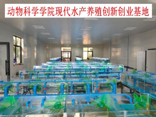 我想学水产养殖的技术_养殖水产想学技术怎么办_养殖水产想学技术可以吗