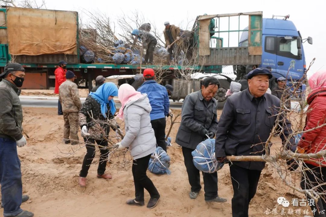 山楂树苗种植技术_山楂树苗种植技术视频_山楂树苗种植方法