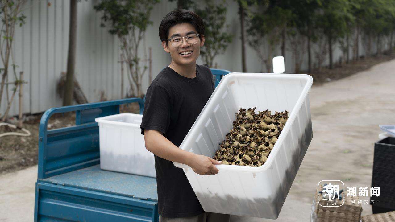 致富养殖农民蝈蝈视频_农民致富养殖蝈蝈_养殖蝈蝈的经济效益