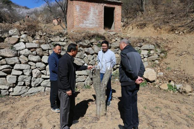 山楂树苗的种植方法_山楂树苗种植技术_山楂树种植视频