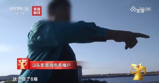 养海参挣钱吗知乎_致富经海参养殖视频_cctv7 致富经 养海参