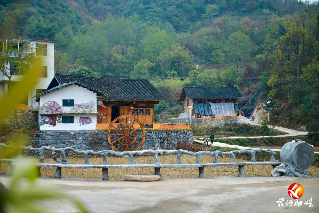 村民种植黑皮冬瓜致富_种植佛甲草致富吗_大棚樱桃种植成功致富案例