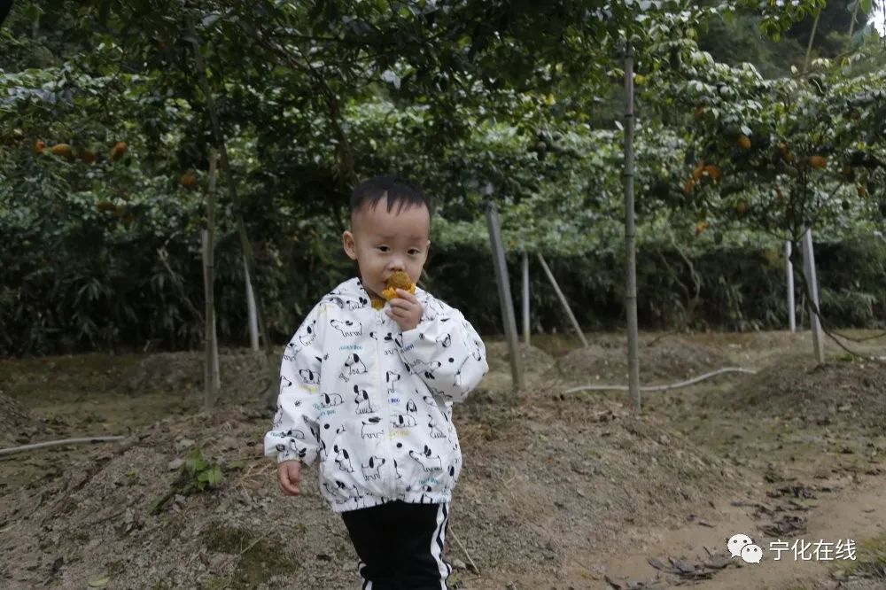 种植野果致富吗_致富种植野果的句子_致富种植野果图片