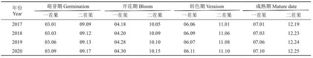 ‘瑞都科美’葡萄在广西南宁的引种表现及一年两收栽培技术