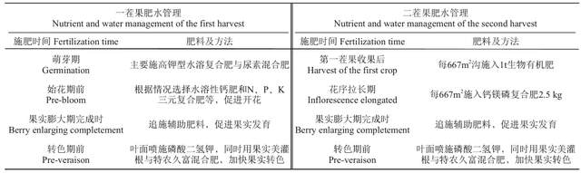 葡萄藤养殖_温室藤稔葡萄膨大主要方法_温室藤引葡萄种植技术