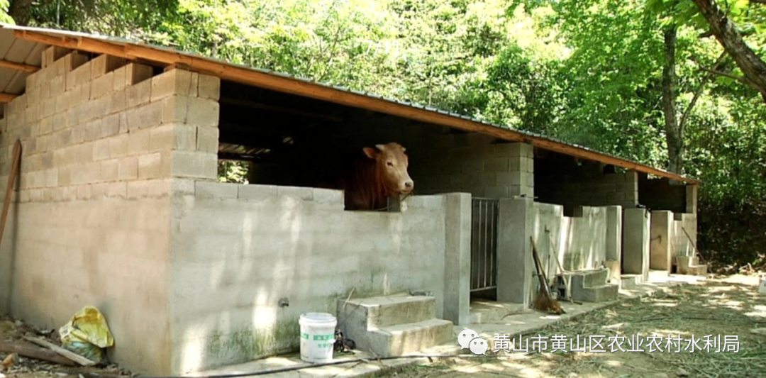 种植树莓创业还有市场吗_种植树莓的市场前景_种植树莓致富