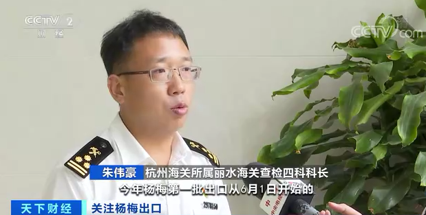 致富经卖水果创业视频_致富经卖水果视频播放_卖水果致富的人