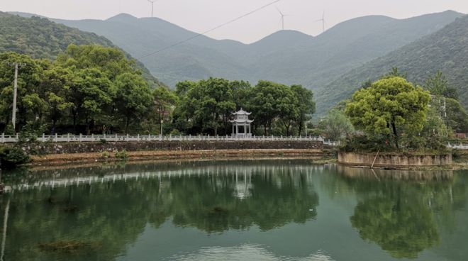 烟草种植致富带头人_烟草种植赚钱吗_种植烟草国家有补助吗