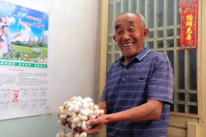 致富辽宁野菜视频_辽宁山野菜_致富经辽宁野菜