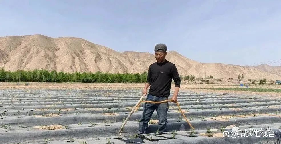 致富种植视频全集_致富经种火龙果_致富火经种植