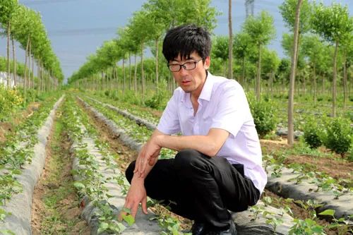 山东养殖土鸡致富经_山东散养土鸡基地电话_山东土鸡养殖合作社