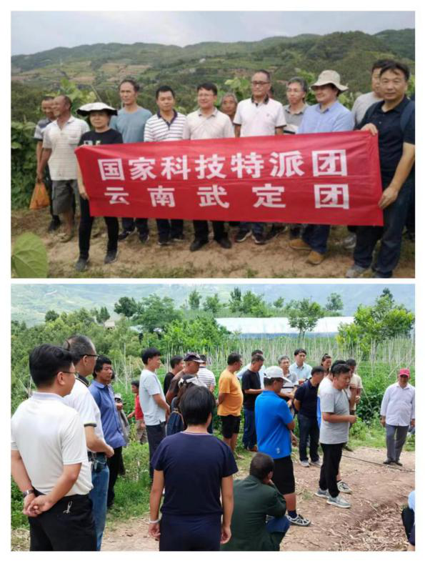 种植烟草的上市公司_烟草种植致富带头人_种植烟草国家有补助吗