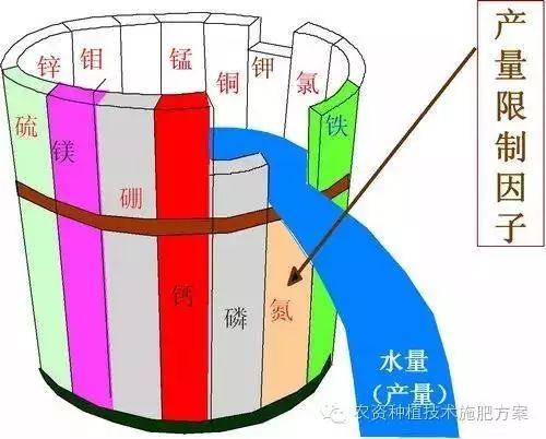 土豆致富带头人_土豆高产技术_致富经怎样让土豆高产