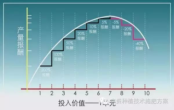 土豆致富带头人_土豆高产技术_致富经怎样让土豆高产