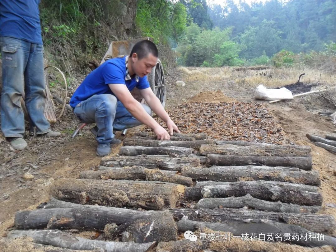 致富经怎样让土豆高产_致富经土豆种植视频_土豆高产技术