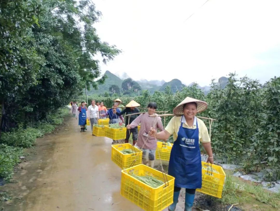 致富养猪场是真的吗_养殖好前景铺就致富路_致富商机网养殖