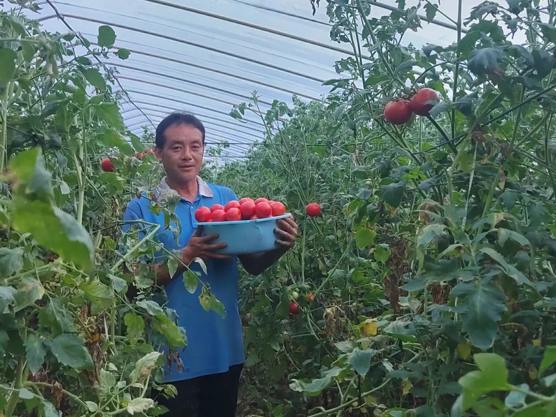 养殖好前景铺就致富路_致富养猪场是真的吗_致富商机网养殖