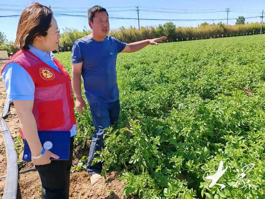 80后”种植大户李春三的致富经：敢干实干巧干