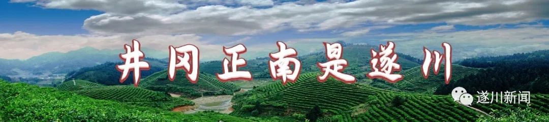 良头村：蔬菜大棚里的致富经