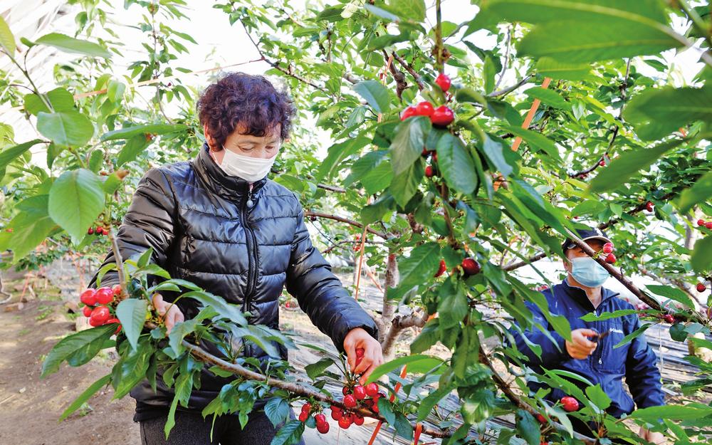 白山养殖部主管招聘_白山养殖致富项目_白山羊养殖基地