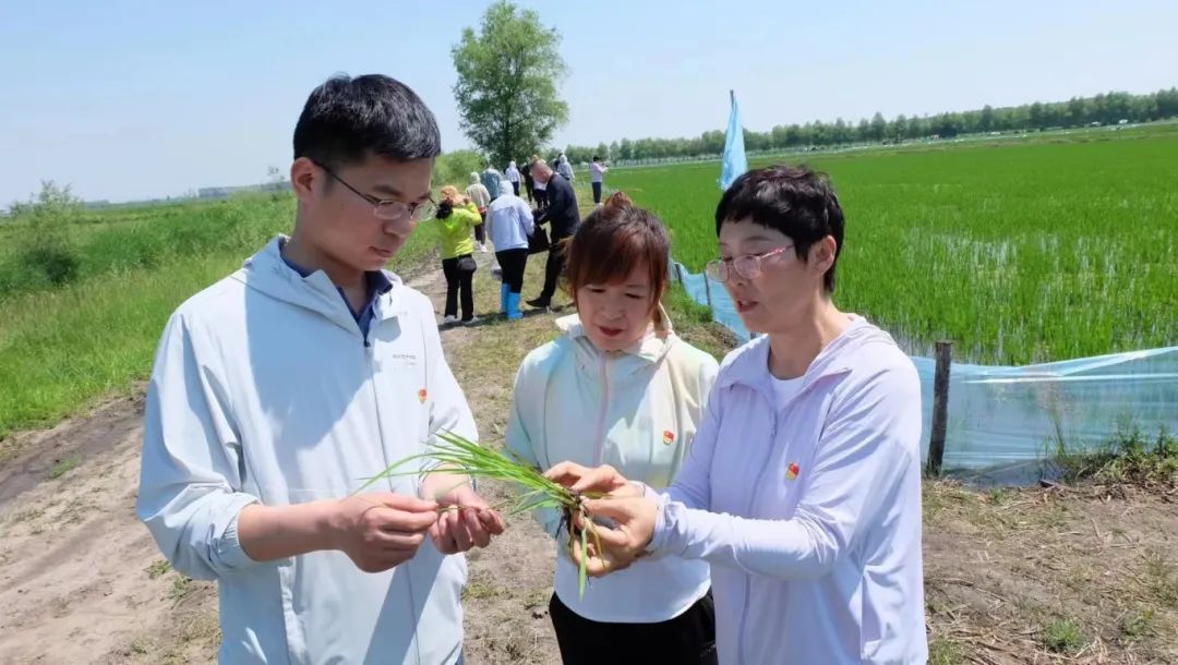 养殖鱼虾技术小知识_小鱼虾养殖技术_养殖鱼虾技术小结怎么写