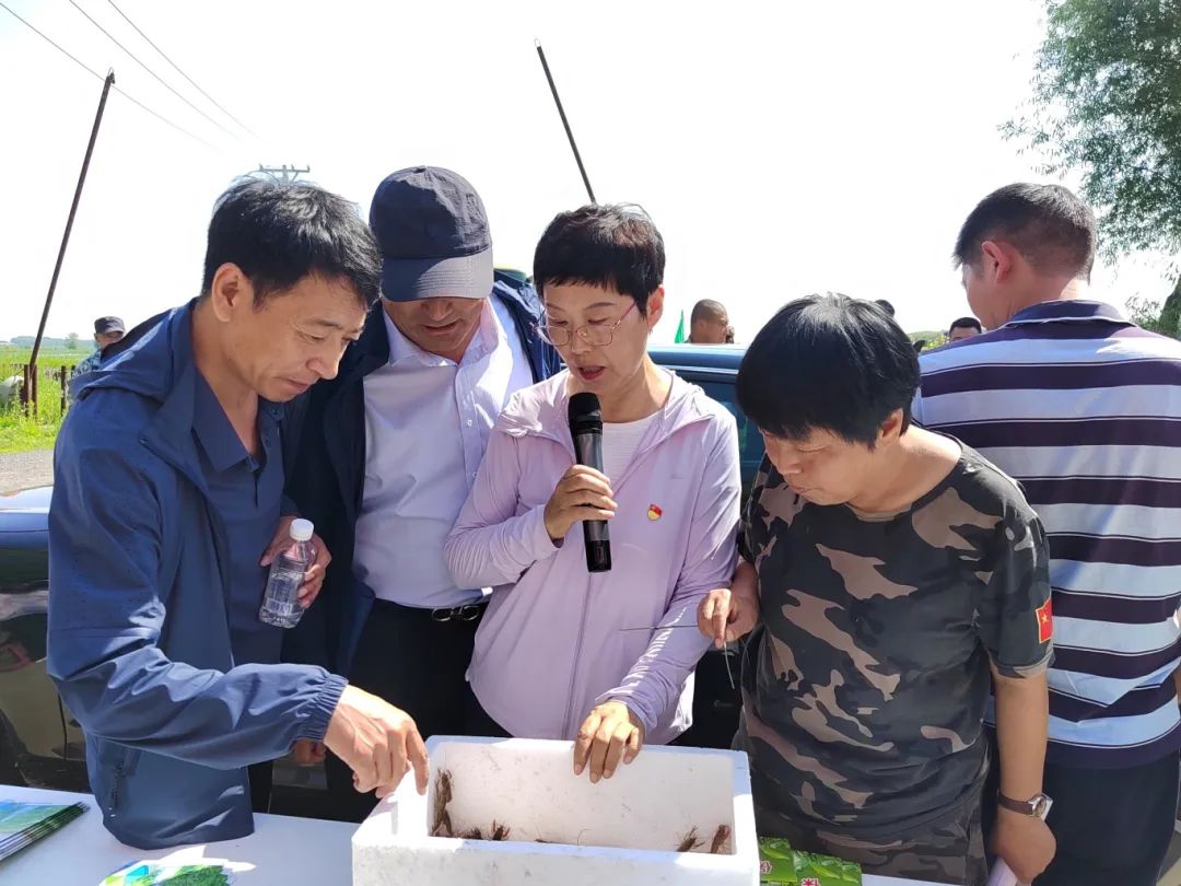 养殖鱼虾技术小结怎么写_小鱼虾养殖技术_养殖鱼虾技术小知识