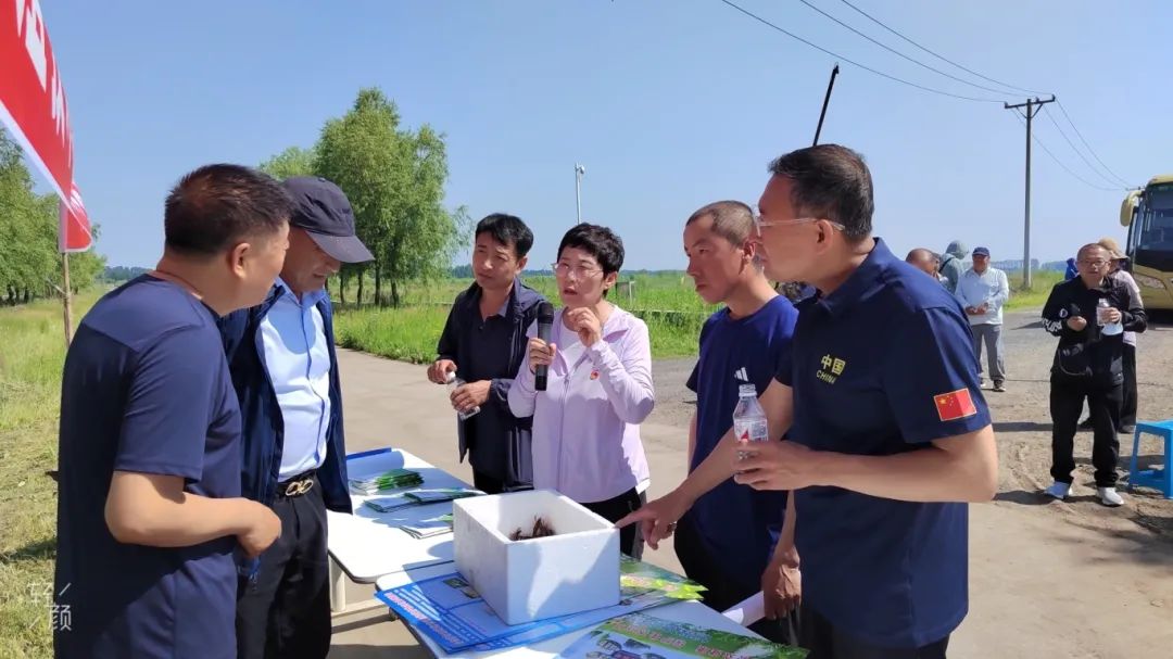 养殖鱼虾技术小知识_养殖鱼虾技术小结怎么写_小鱼虾养殖技术