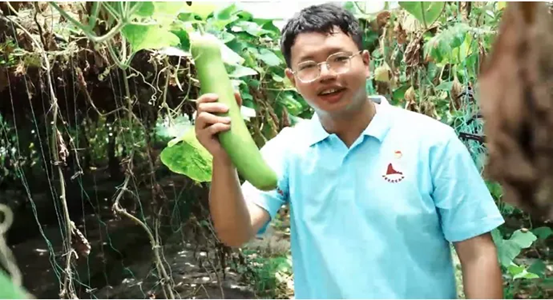 致富江西种植丝瓜视频_福建丝瓜种植_江西丝瓜种植致富