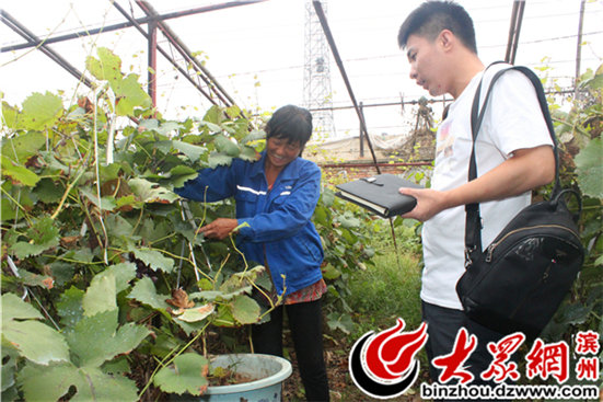 惠民大年陈镇村民自发成立葡萄种植合作社 带动贫困户增收致富