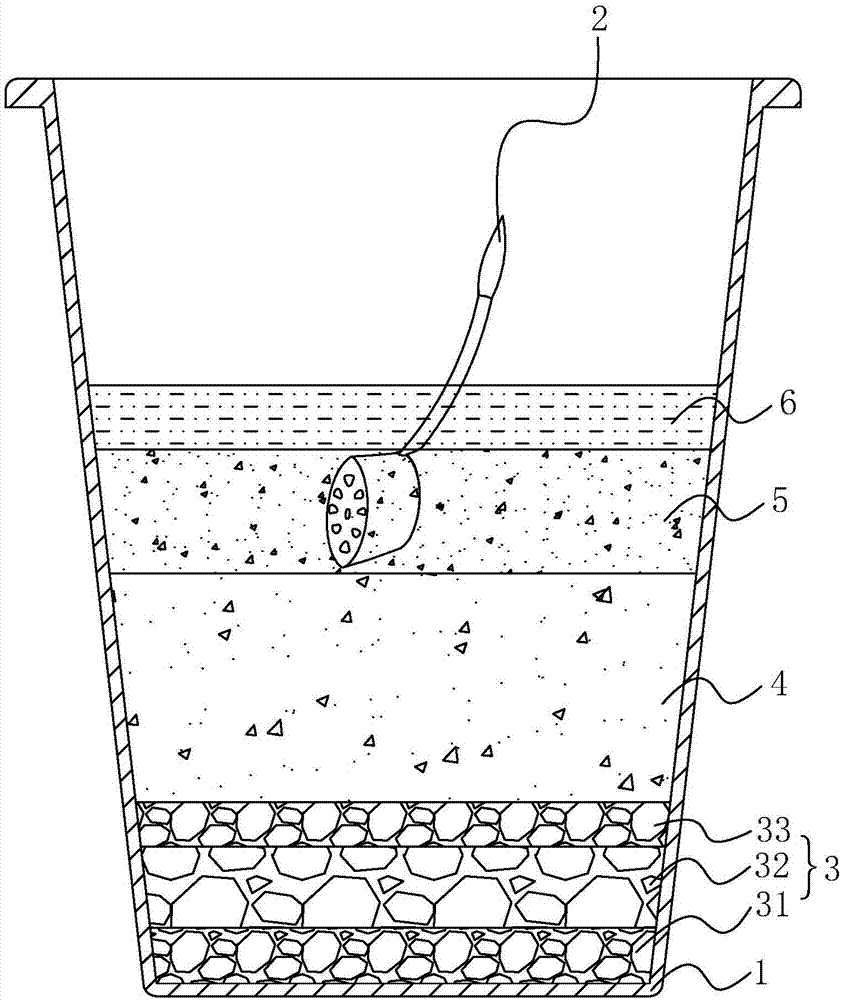 莲藕种植新方法与流程