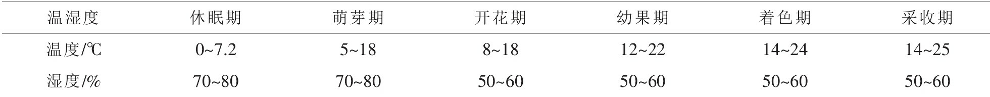 盆栽种植金桔技术要点_盆栽金桔种植技术_盆栽种植金桔技术视频