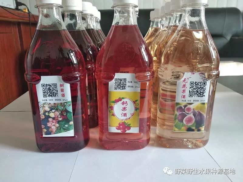 野生种植树莓技术视频_野生树莓种植技术_野生种植树莓技术要求