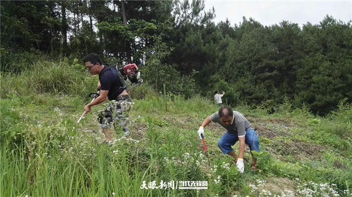 致富经花椒种植视频_花椒种植致富带头人先进事迹_花椒种植致富故事