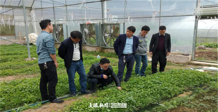 花椒种植致富故事_致富经花椒种植视频_花椒种植致富带头人先进事迹