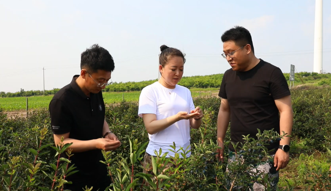 致富生态平台_坚持生态种植致富_种植致富业