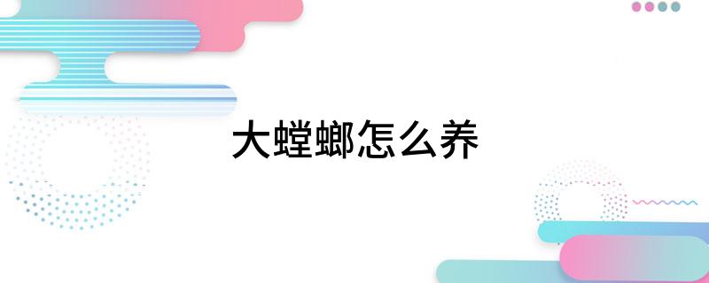 非洲蟑螂养殖技术_蟑螂养殖_蟑螂养殖户