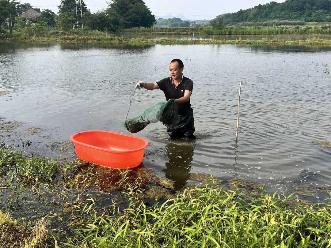 生态农业致富之路_坚持生态种植致富_致富生态平台